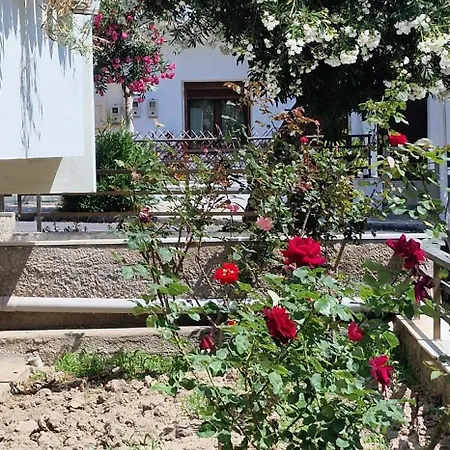 Center Luxury Spacious A&m