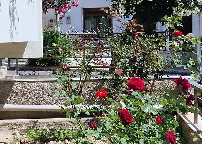 Center Luxury Spacious A&m