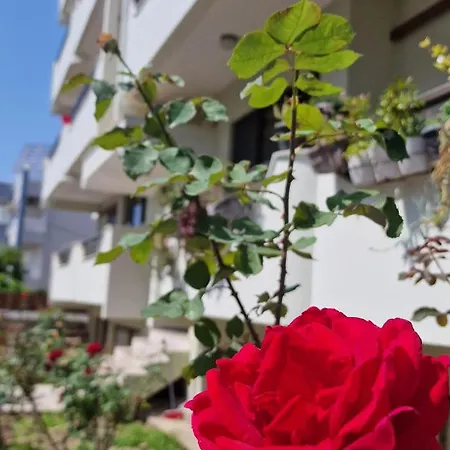 Daire Center Luxury Spacious A&m Rhodes City